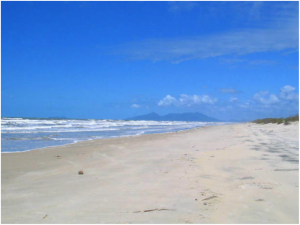 Desert beaches in Sao Paulo