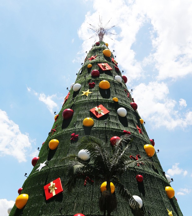 Ibirapuera inaugura árvore de Natal no próximo domingo