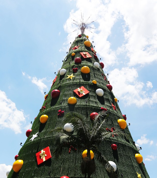Ibirapuera inaugura árvore de Natal no próximo domingo Ibirapuera inaugura árvore de Natal no próximo domingo