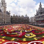 Tapete de Flores em Bruxelas