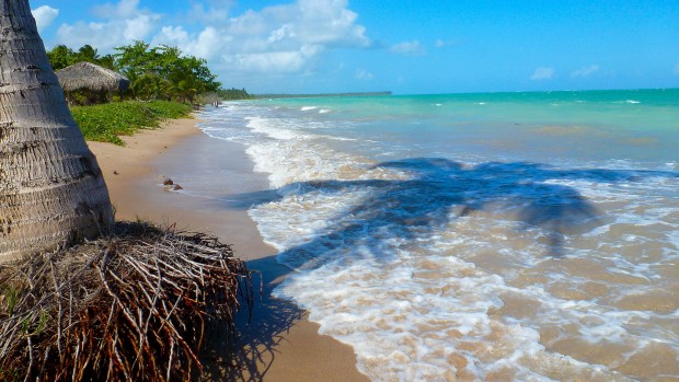 São Miguel dos Milagres - Alagoas / Foto: João Vicente