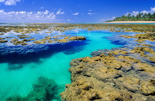 Piscinas Naturais da Praia de Taipus de Fora
