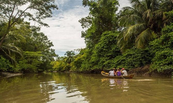 Ilha de Marajó - ilhas da América do Sul